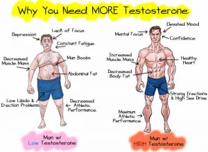 testosterone-in-men